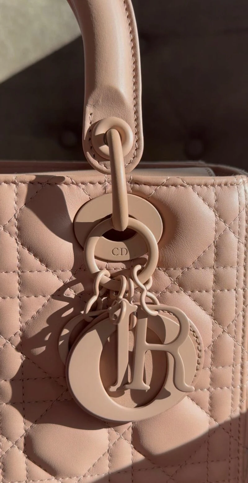 Dior Lady Dior Medium Ultra Matte