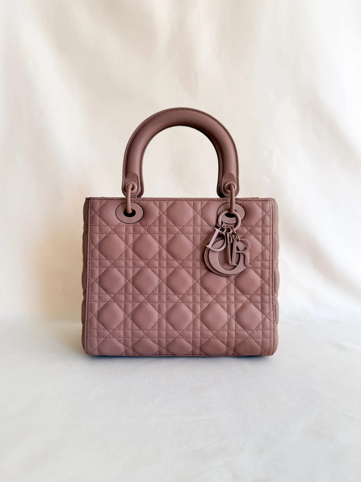 Lady Dior Medium Ultra Mate Cipria bag front view