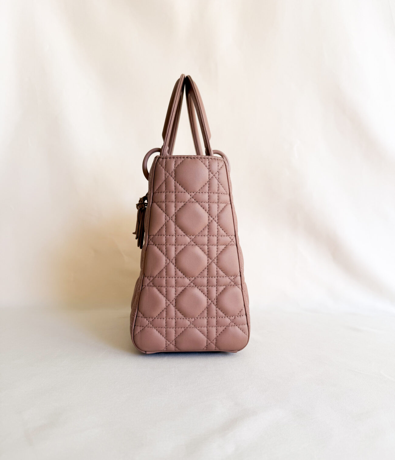 Lady Dior Medium Ultra Mate Cipria bag side profile view