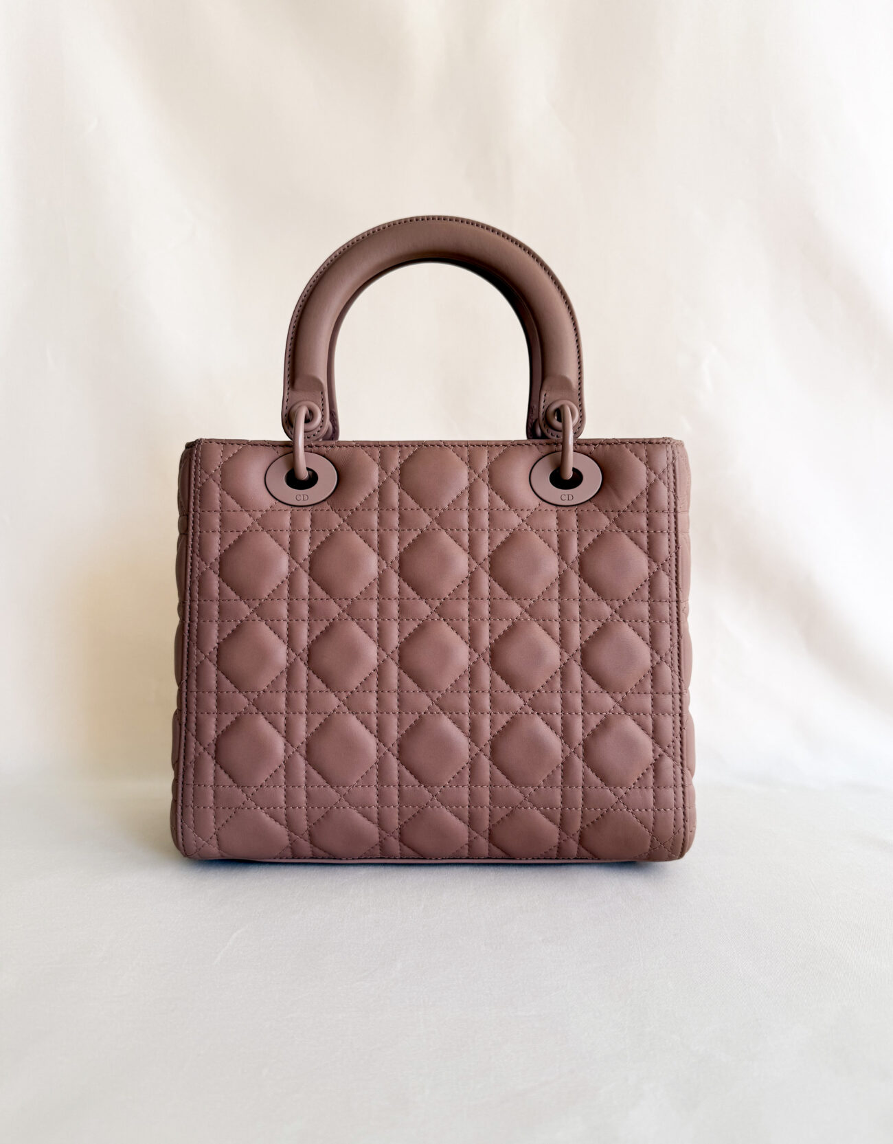 Lady Dior Medium Ultra Mate Cipria bag back view