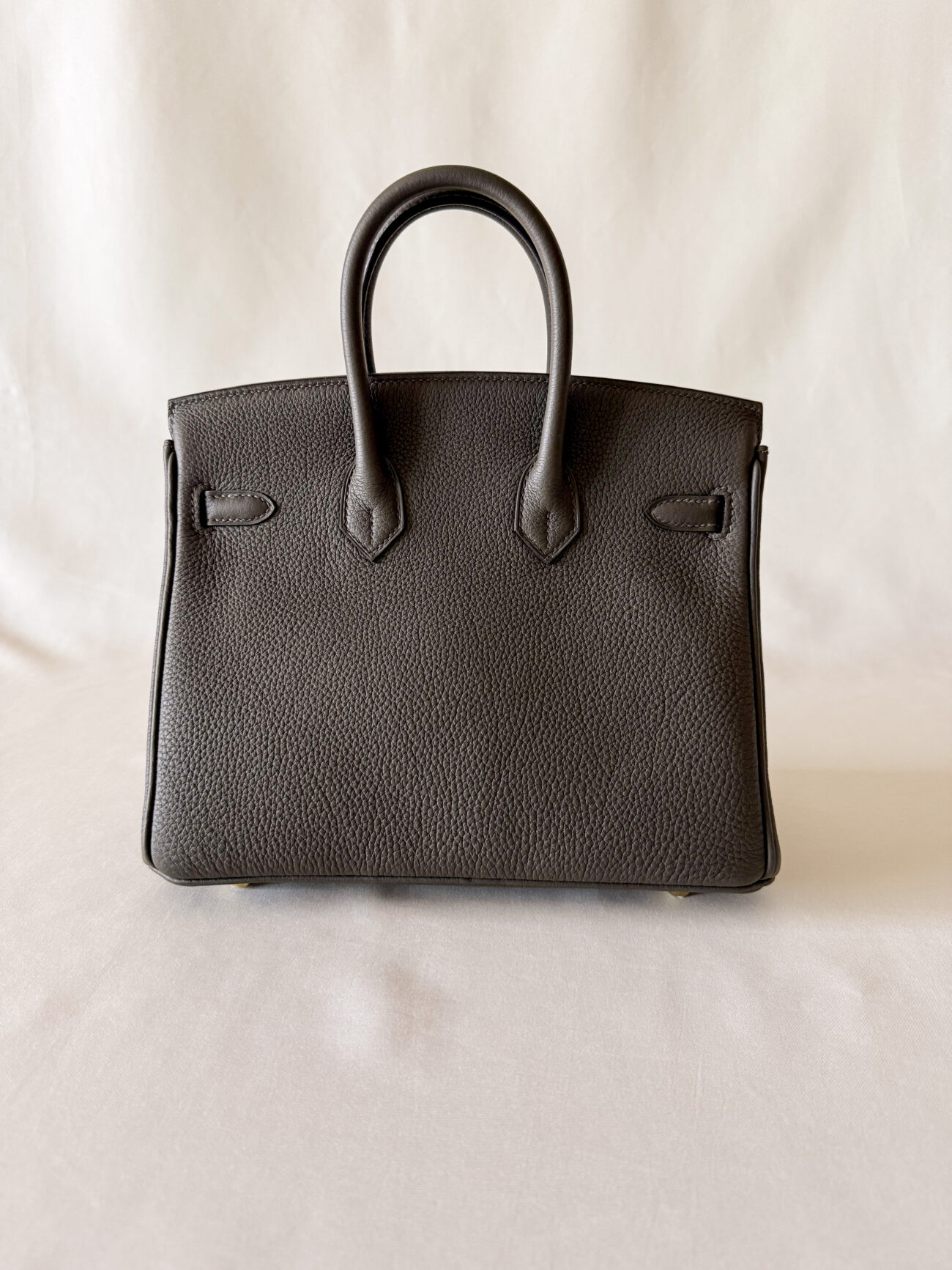 Hermès Birkin 25 Eukaliptus leather with gold hardware back silhouette