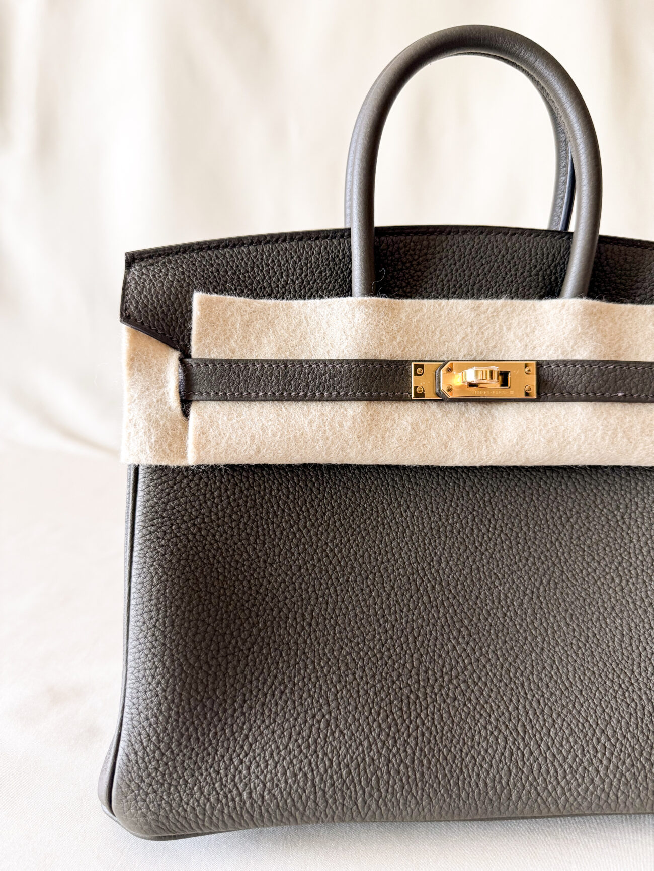 Hermès Birkin 25 Eukaliptus leather with gold hardware tree-quarter view