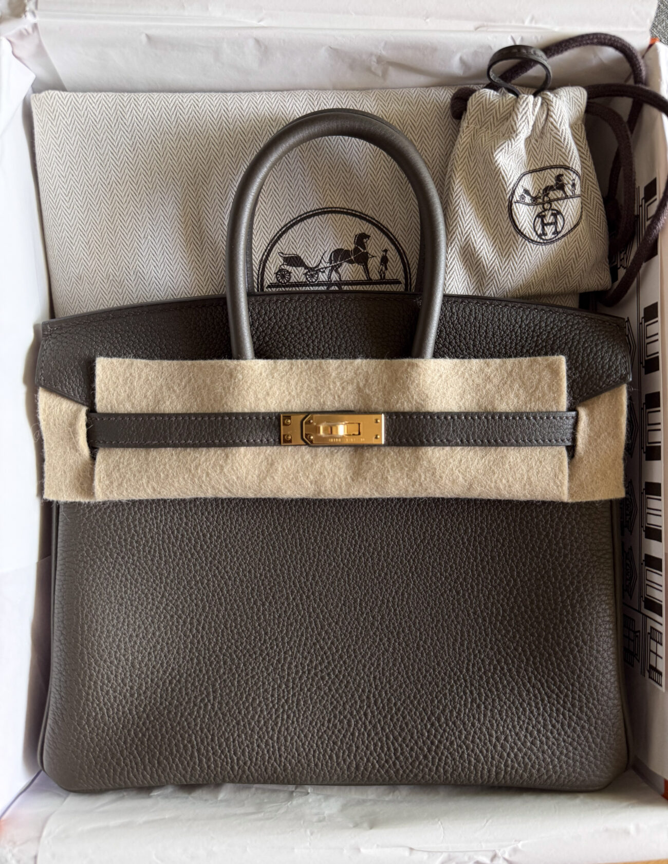 Hermès Birkin 25 Eukaliptus leather with gold hardware full kit detail
