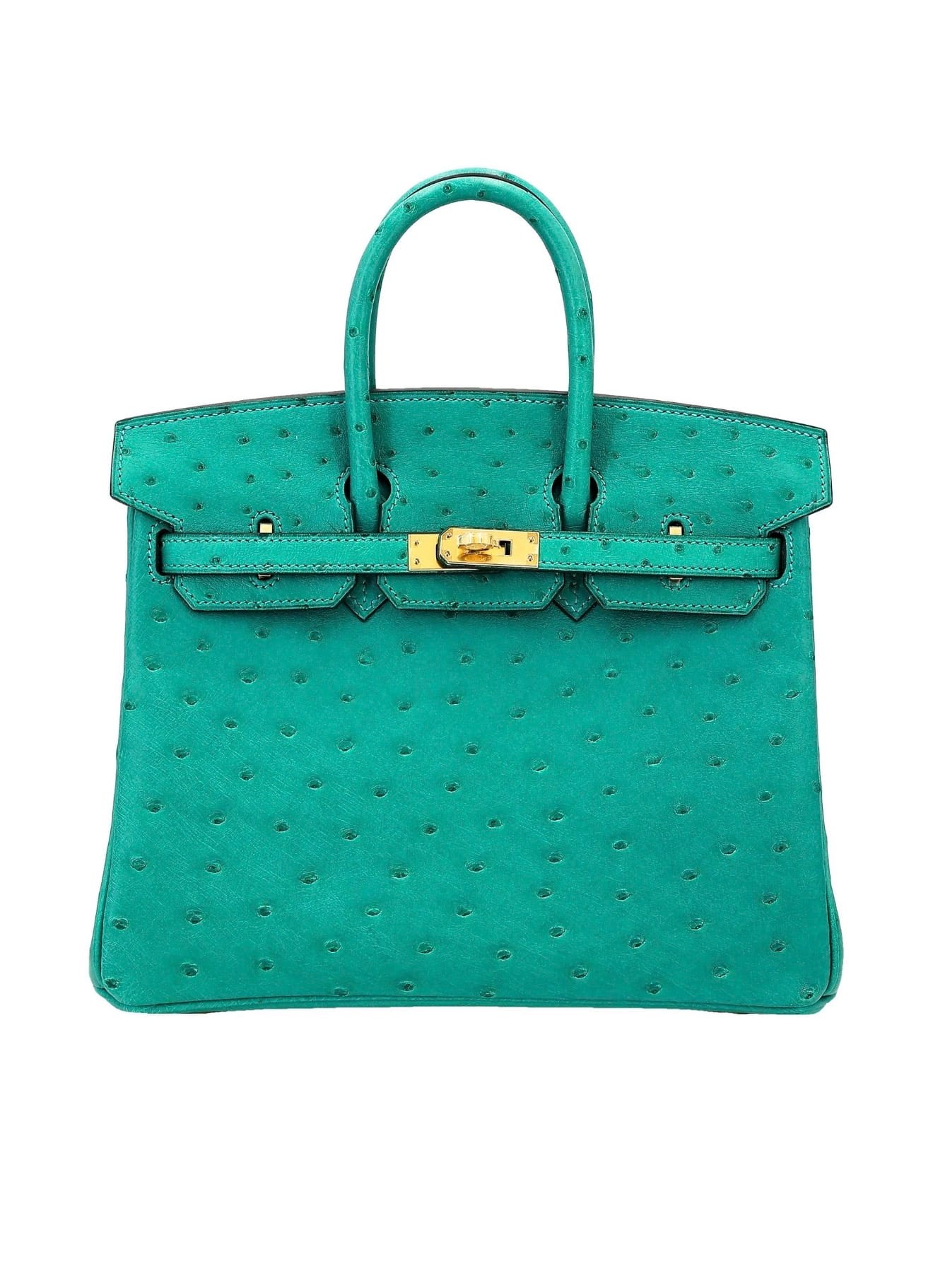 Hermès Birkin bag crafted from ostrich leather with its distinctive quill follicle pattern.