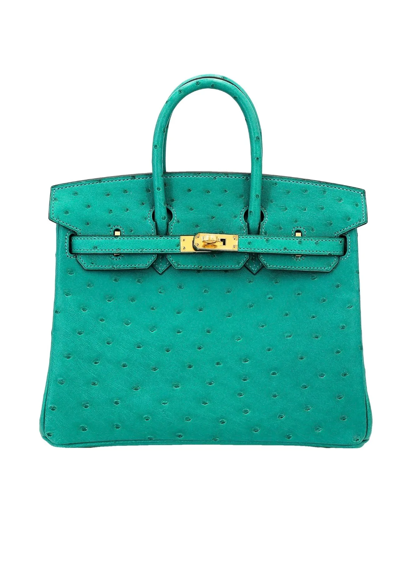 Hermès Birkin bag crafted from ostrich leather with its distinctive quill follicle pattern.