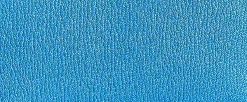 Close-up of Hermès Chèvre Mysore leather showing its fine grain, lightweight texture and natural sheen.