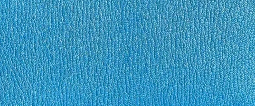 Close-up of Hermès Chèvre Mysore leather showing its fine grain, lightweight texture and natural sheen.
