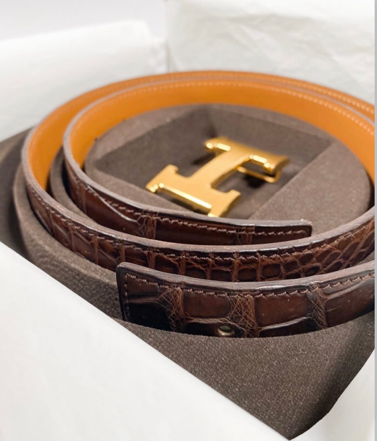Hermès men's alligator belt in dark brown with gold H buckle presented in its original box