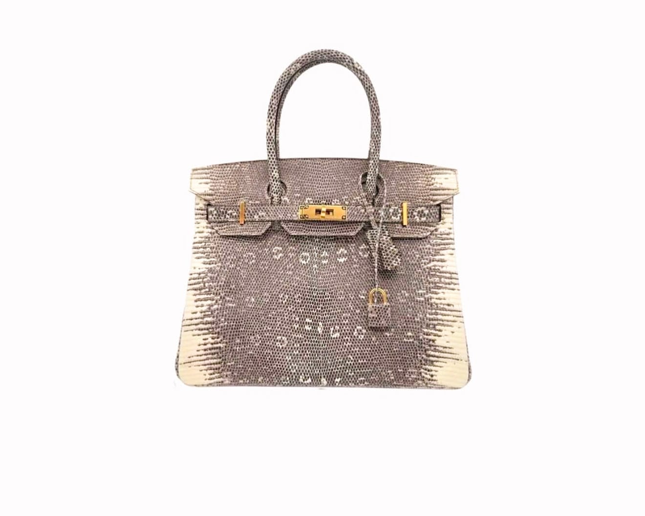 Hermès Birkin Ombre Lizard with gold hardware