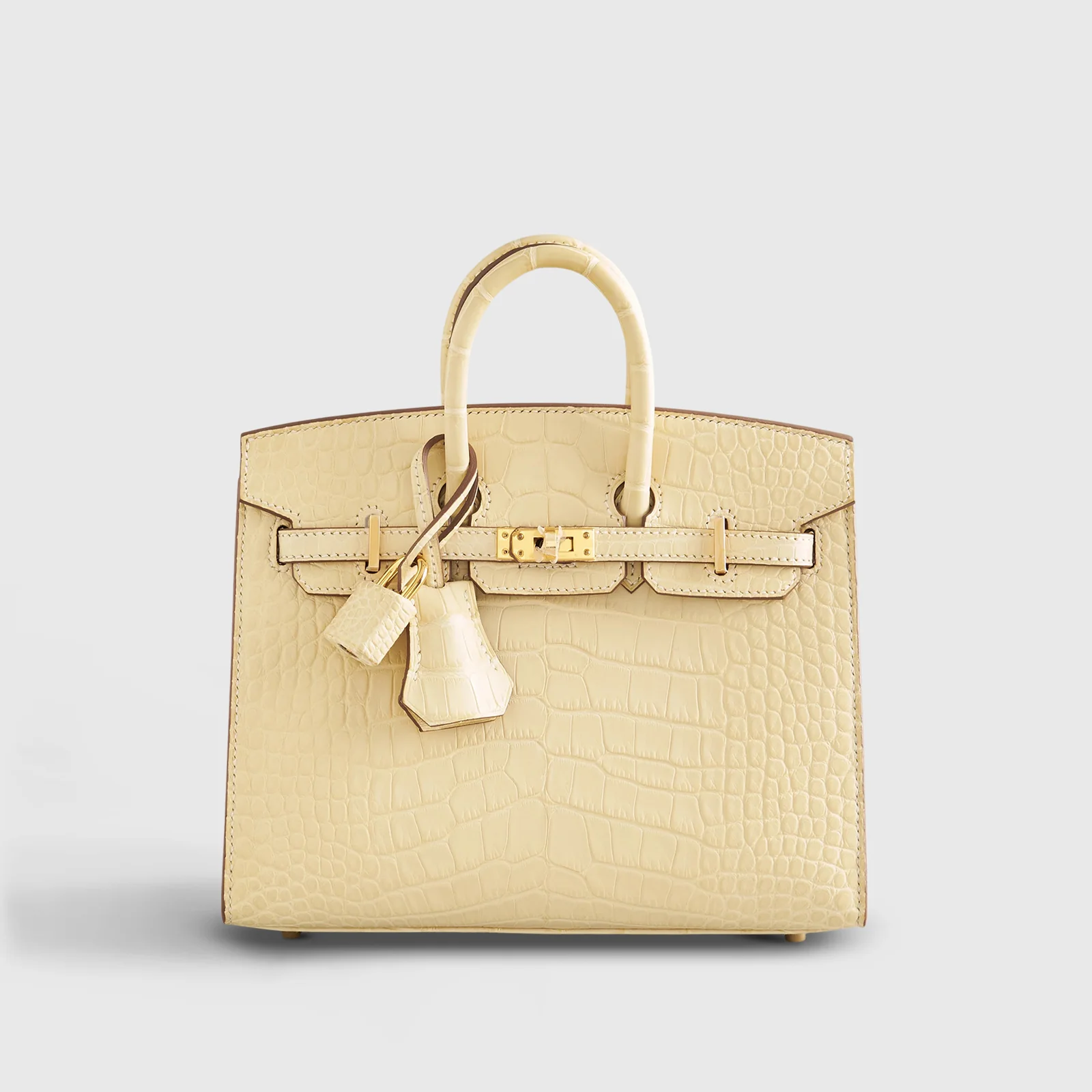 Hermès Birkin 20 in pelle esotica – Mini Birkin da collezione